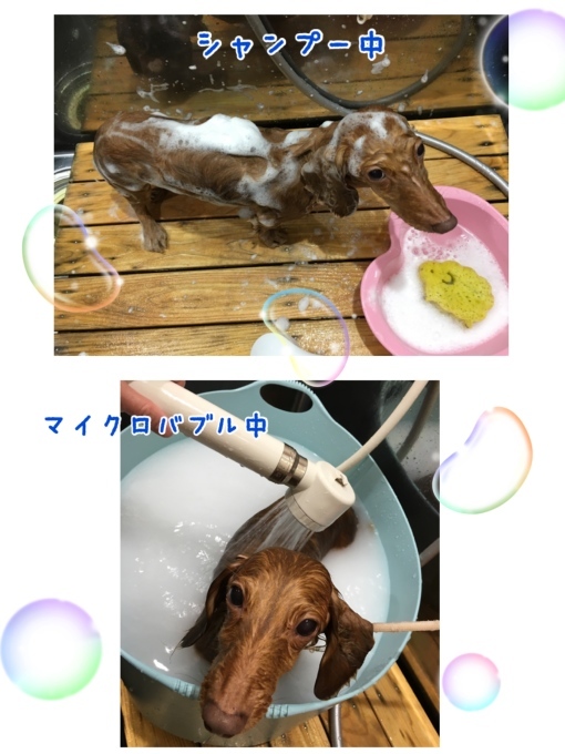 d0269898_08441991.jpeg