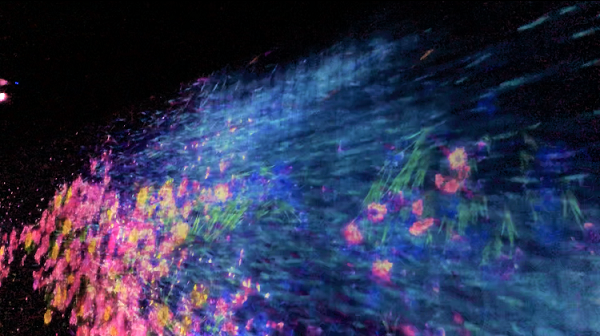 d0207515_12434433.png