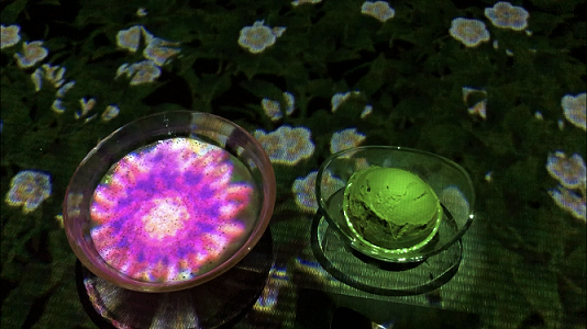 d0207515_17021978.png
