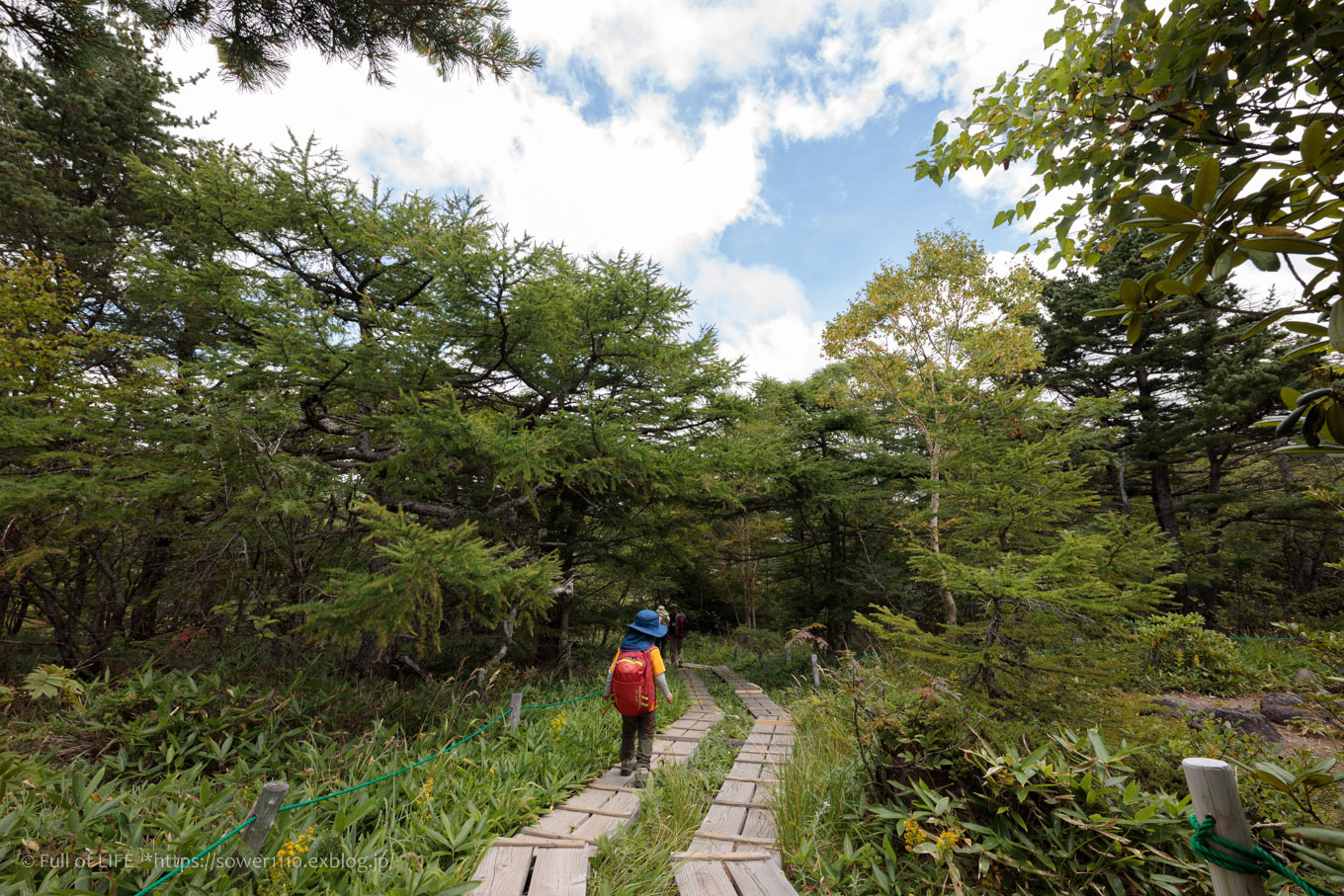 晩夏の池ノ平湿原「三方ヶ峰」湿原ハイキング_c0369219_10571980.jpg