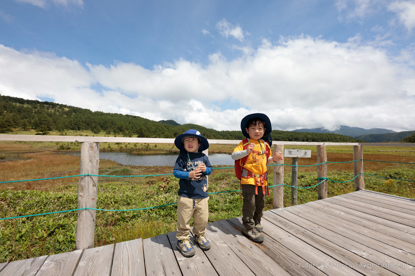 晩夏の池ノ平湿原「三方ヶ峰」湿原ハイキング_c0369219_16361708.jpg