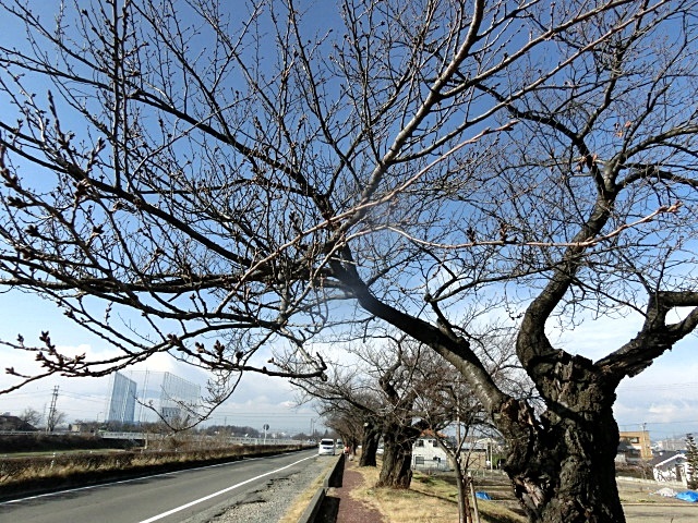 e0234924_10363300.jpg