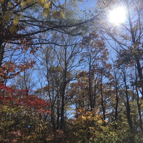 a0291132_19001580.jpeg