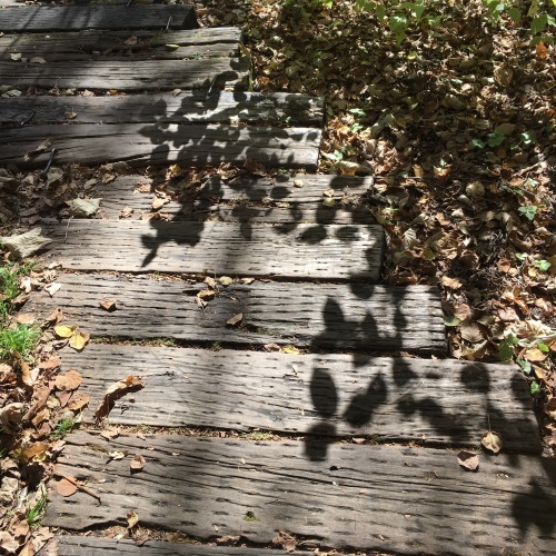 a0291132_19002755.jpeg