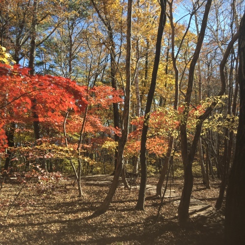 a0291132_19005440.jpeg