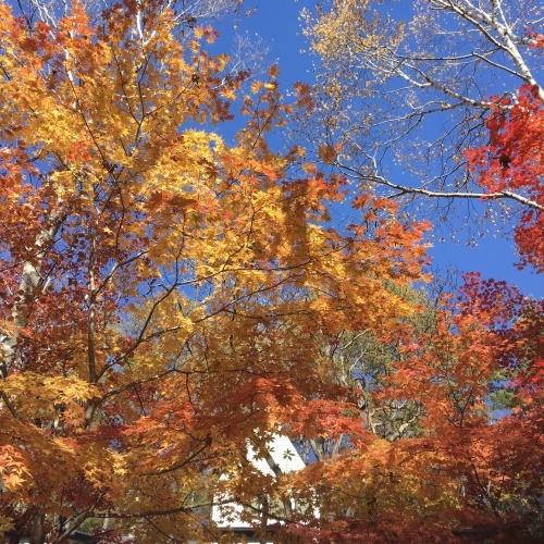 a0291132_19030523.jpeg