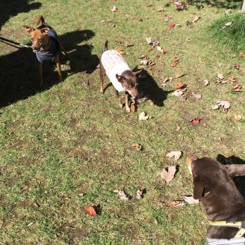 a0291132_19041055.jpeg