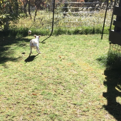 a0291132_19044500.jpeg