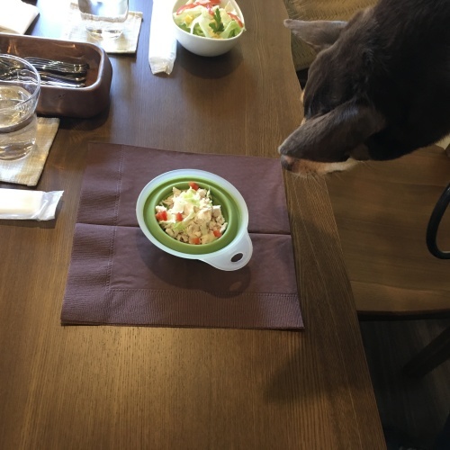 a0291132_19080321.jpeg