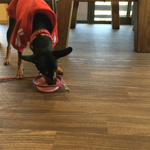 a0291132_19090328.jpeg