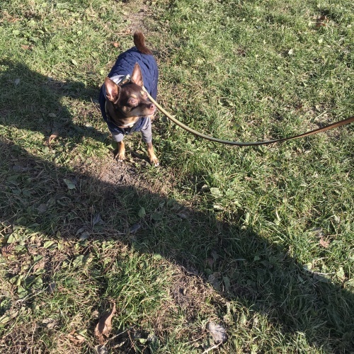 a0291132_19101018.jpeg