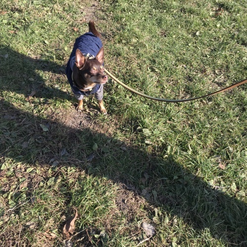a0291132_19102374.jpeg