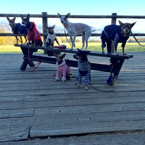 a0291132_19130930.jpeg