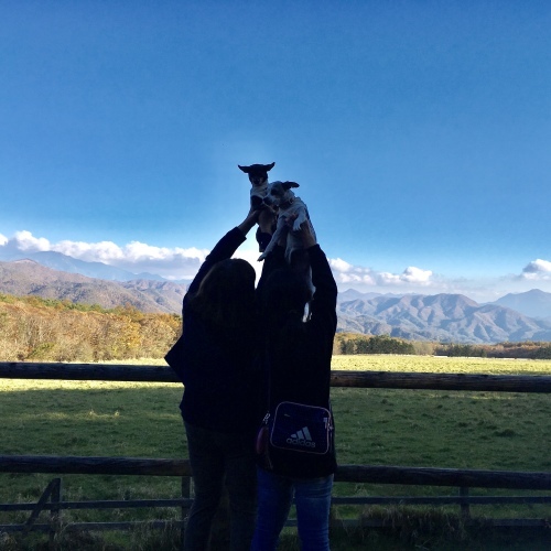 a0291132_19145366.jpeg
