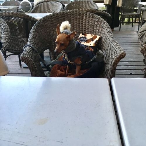 a0291132_19153535.jpeg