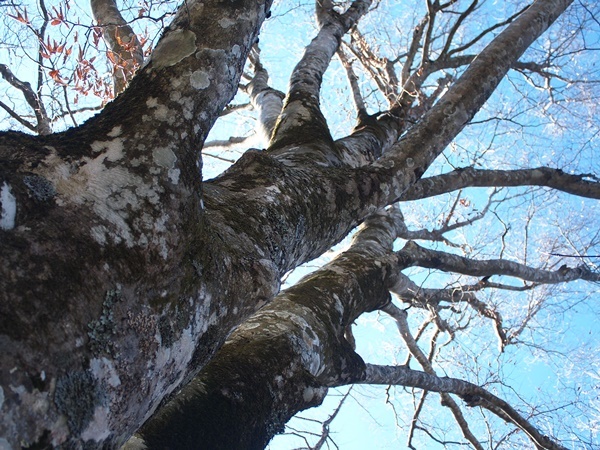 b0319255_17110723.jpg
