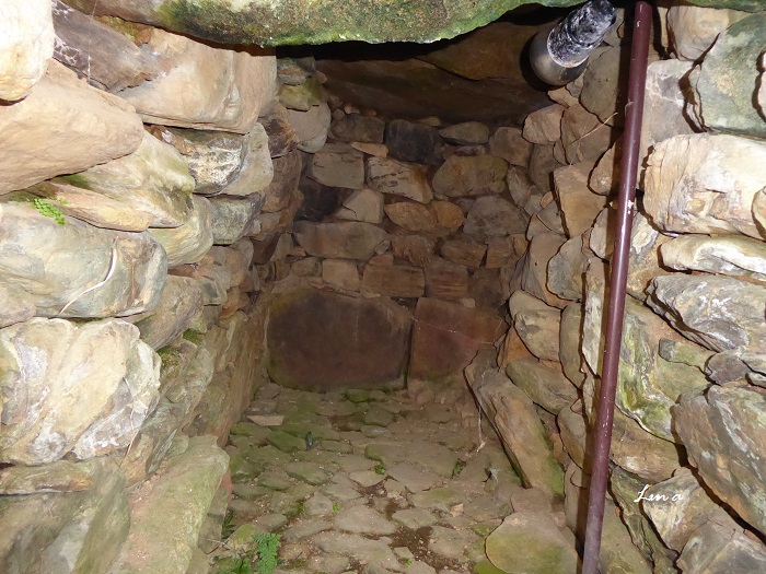 c0222861_20144717.jpg