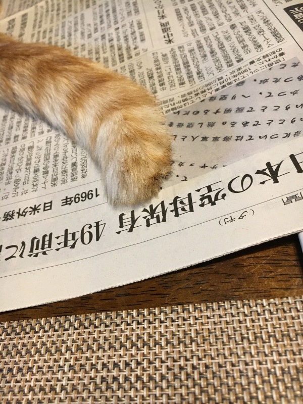f0363168_08164057.jpeg