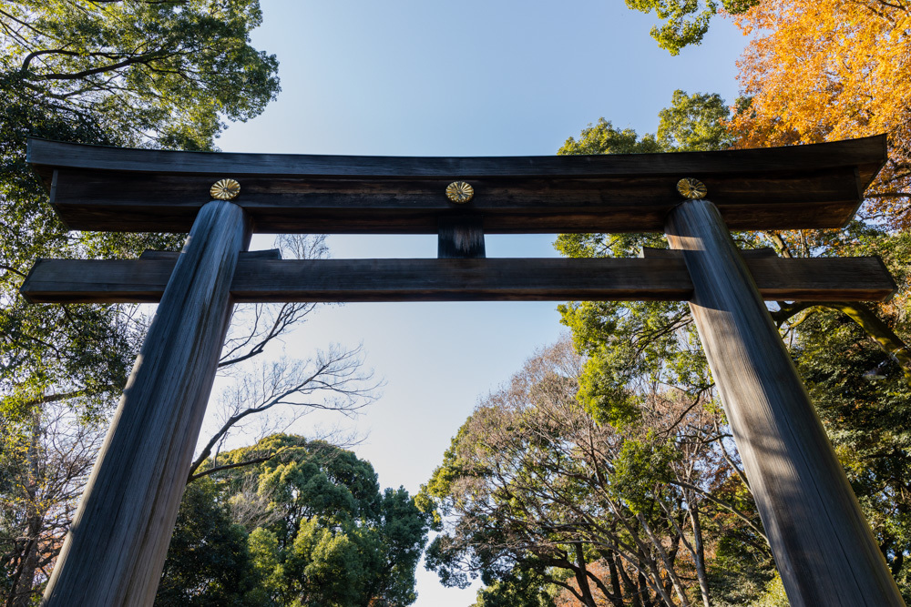 暮れの明治神宮_a0261169_18583644.jpg