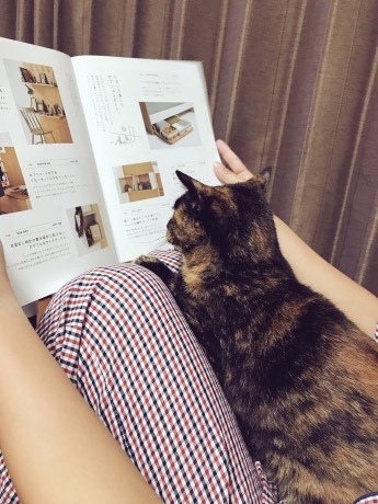 b0013881_23160027.jpeg