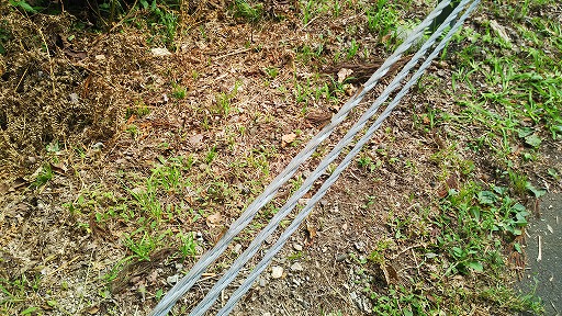 e0020682_18324091.jpg