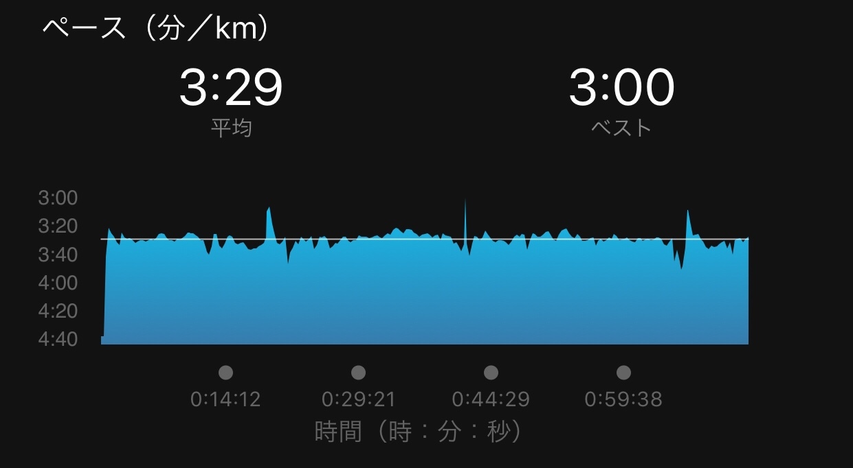 【データで振り返り】足立フレンドリーマラソン_f0310282_10555843.jpeg