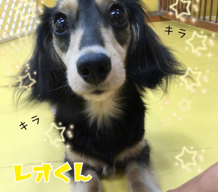 トレーニングブログ_f0357682_21150514.jpeg
