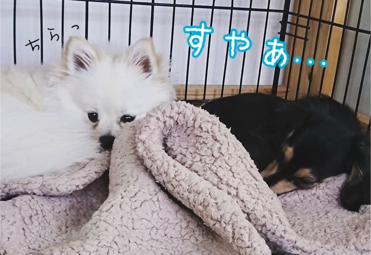 トレーニングブログ_f0357682_21153083.jpeg