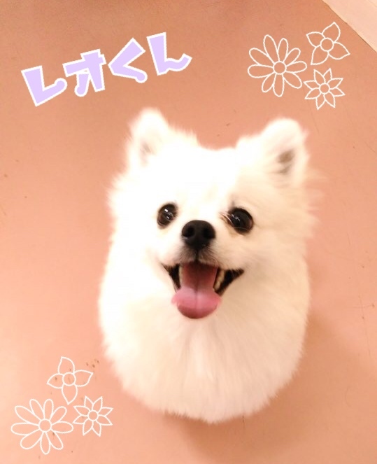 トレーニングブログ_f0357682_21360744.jpeg
