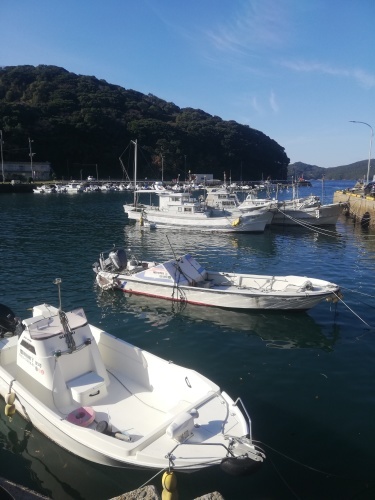 久々にパソコン_d0195183_04144450.jpg