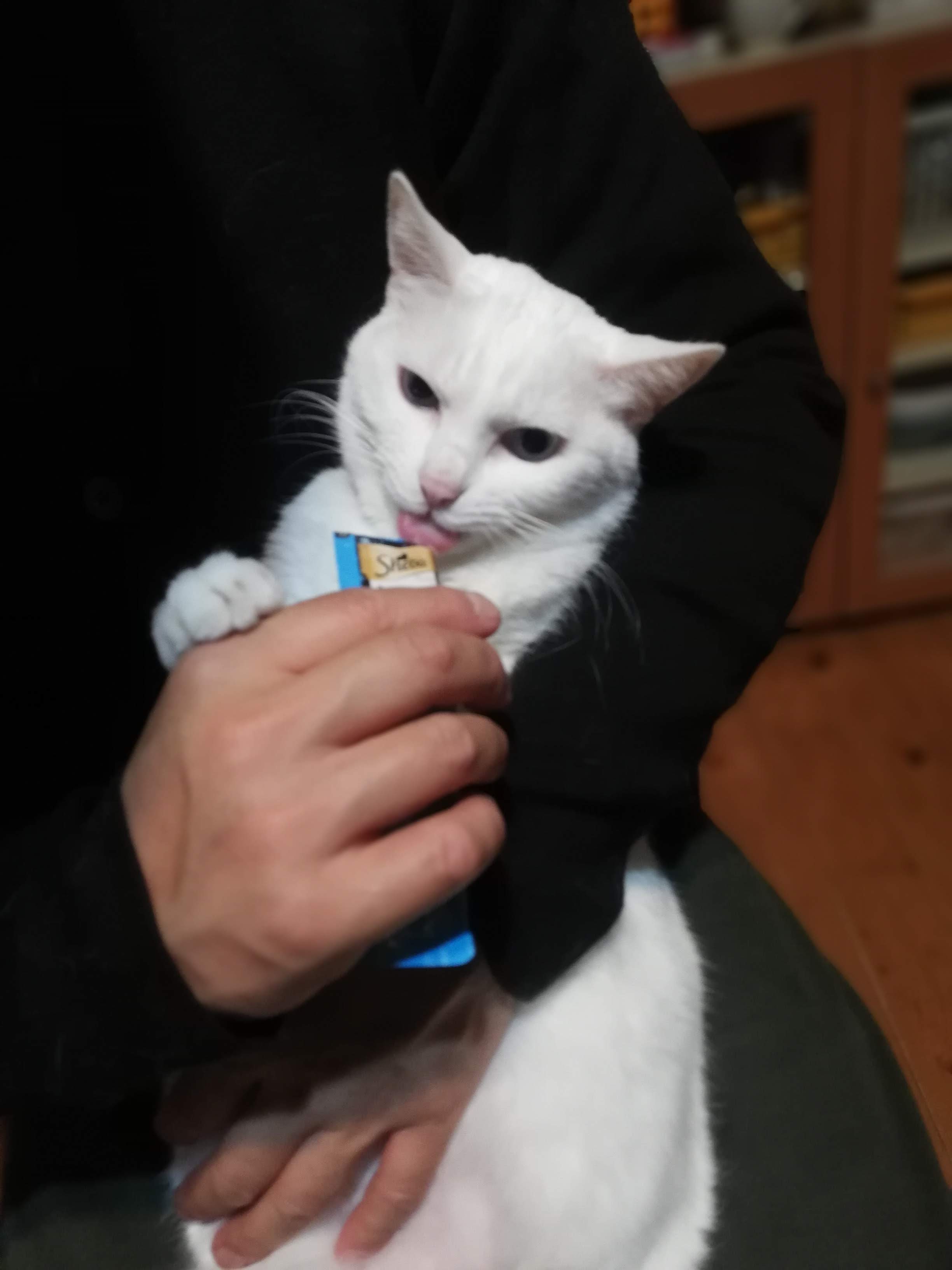 久々にパソコン_d0195183_04155426.jpg