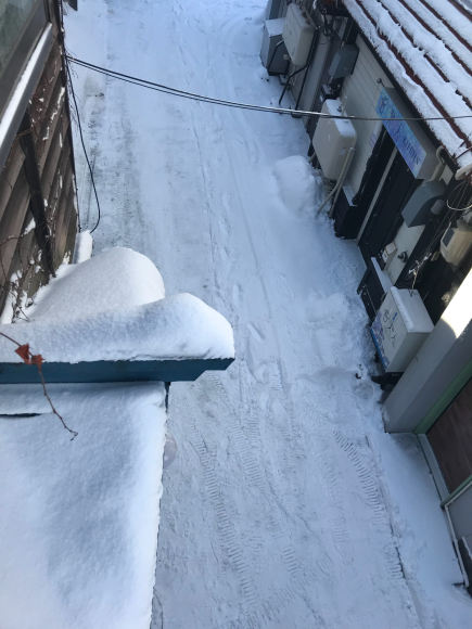 雪よ、降るな。_b0271789_10262327.jpg