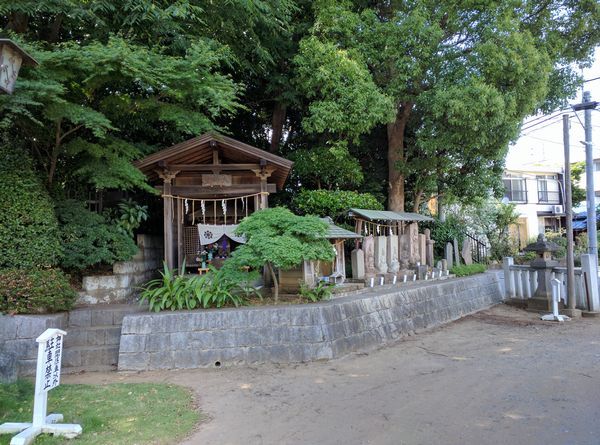 登渡（とわたり）神社 本殿の見事な彫刻と御神水 : 御朱印の森