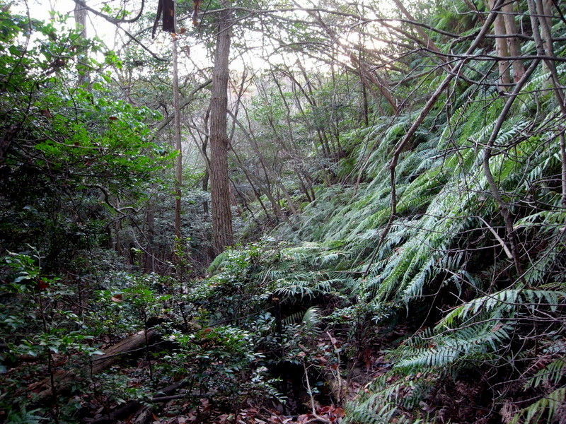 f0325295_15222211.jpg