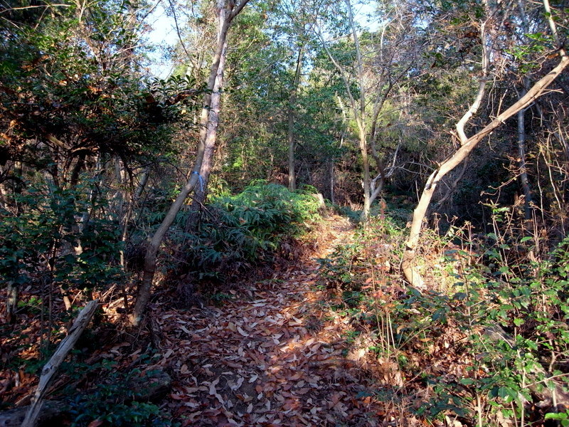 f0325295_15222418.jpg
