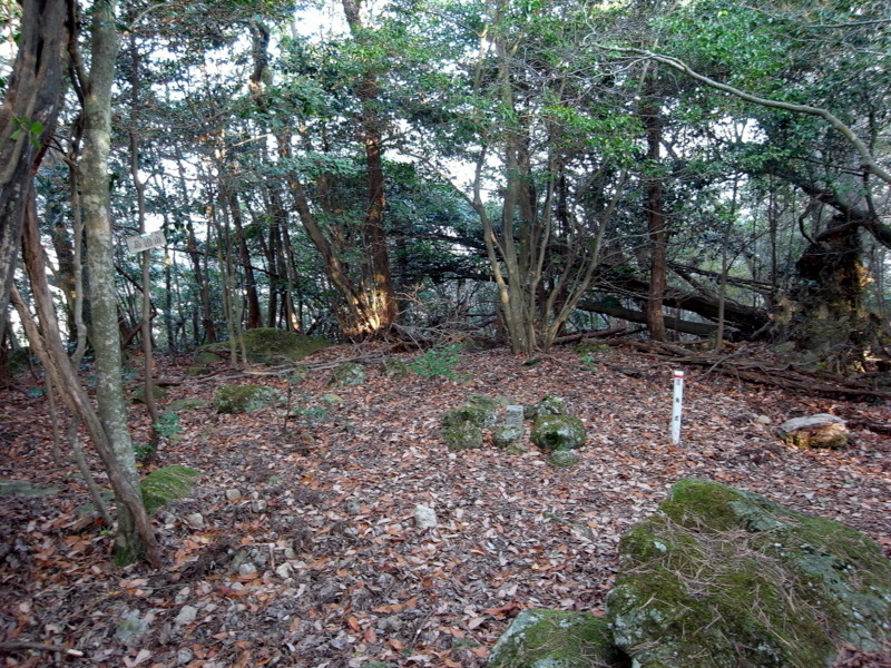 f0325295_15223110.jpg