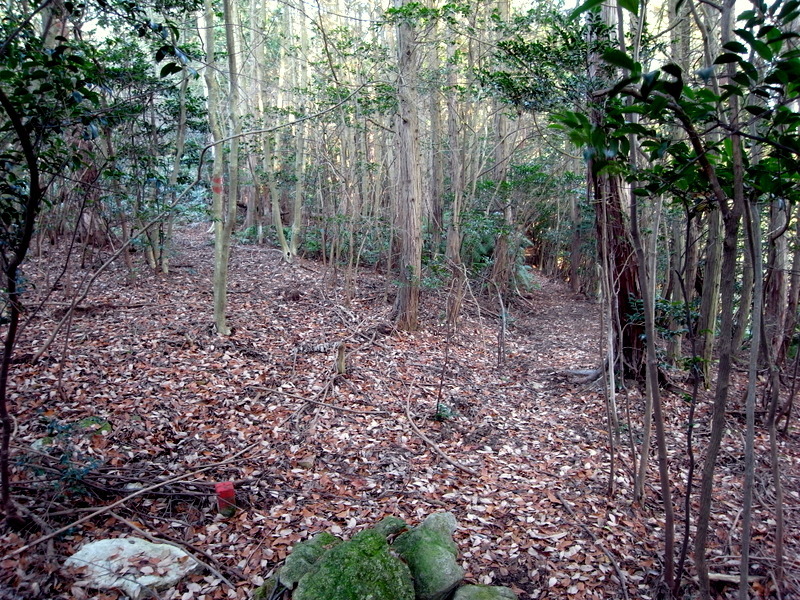 f0325295_15230858.jpg