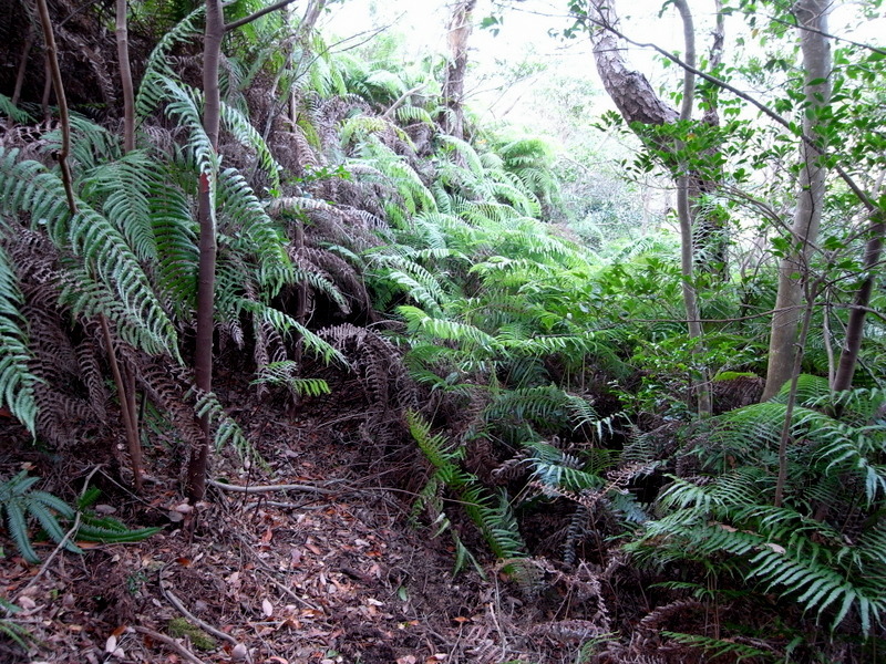 f0325295_15231365.jpg