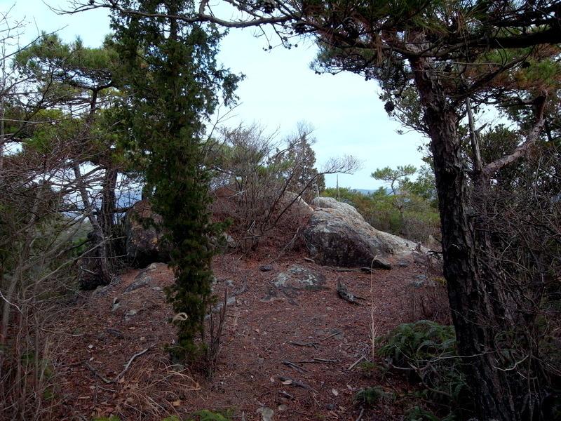 f0325295_15231781.jpg
