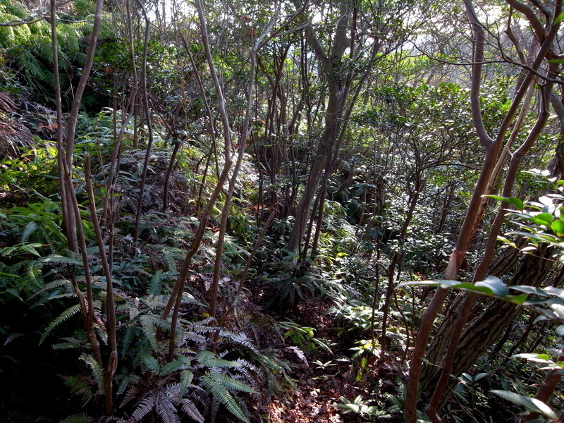 f0325295_16031846.jpg