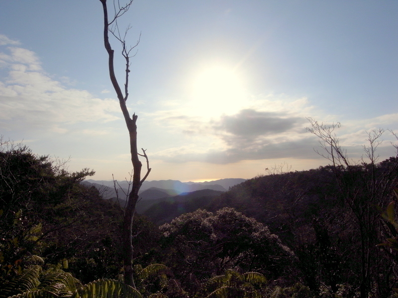 f0325295_16032601.jpg