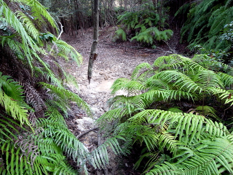 f0325295_16033014.jpg