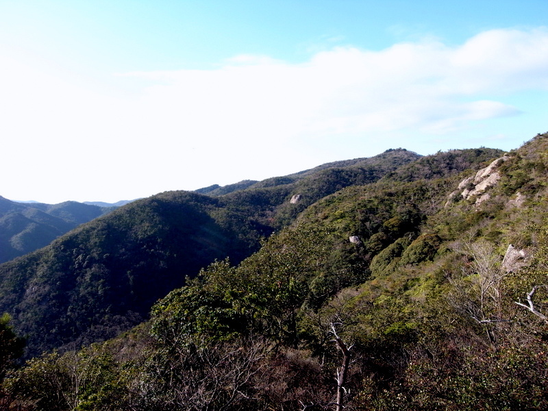 f0325295_16144035.jpg