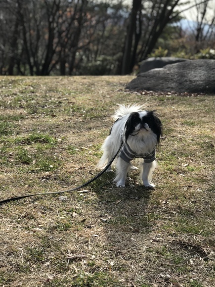 a0155999_22142135.jpeg