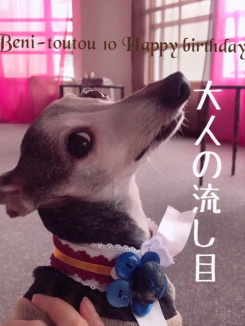 a0050302_01012310.jpeg