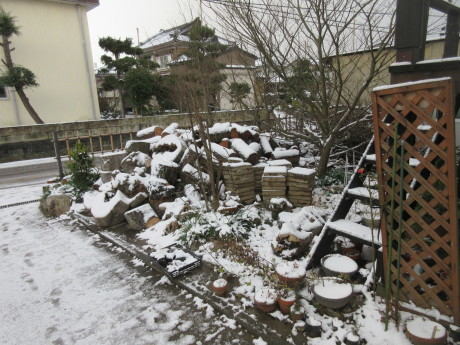 a0203003_17022480.jpg