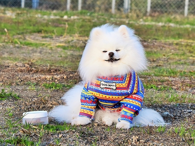 番犬_d0360206_00461991.jpg