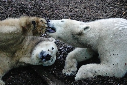 ヘラブルン動物園でのジョヴァンナとクインターナの親子との出会い ~ 自然体の親子の魅力_a0151913_4575148.jpg