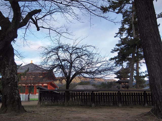 d0295818_02391985.jpg