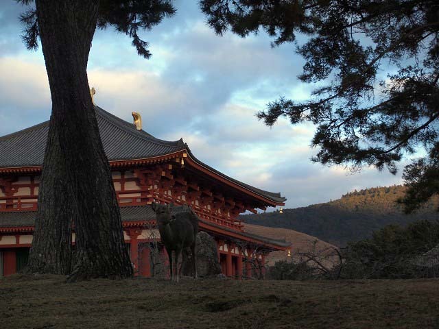 d0295818_02492545.jpg